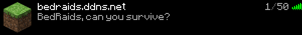 BedRaids Minecraft Server Banner