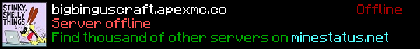 Big Bingus Craft Minecraft Server Banner