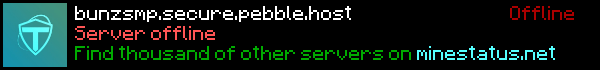 BunzSMP Minecraft Server Banner