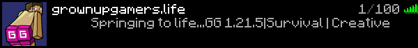 GG SMP Minecraft Server Banner