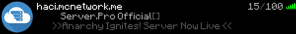 Summer-Network Minecraft Server Banner