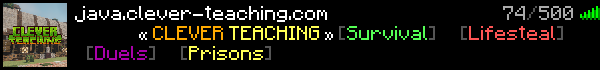 Clever-Teaching Minecraft Server Banner