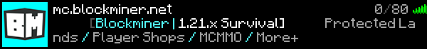 Blockminer Minecraft Server Banner