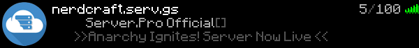 NErdcraft Minecraft Server Banner