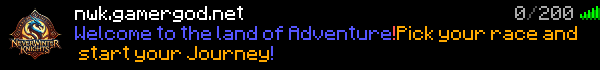 Neverwinter Knights Minecraft Server Banner