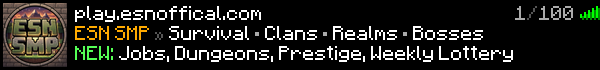 ESN SMP Minecraft Server Banner