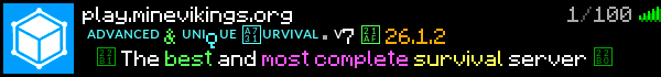 MineVikings Minecraft Server Banner