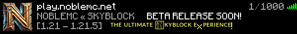 Noble Skyblock Minecraft Server Banner