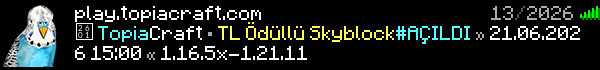 Topiacraft Minecraft Server Banner