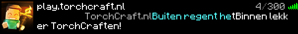 TorchCraft Minecraft Server Banner
