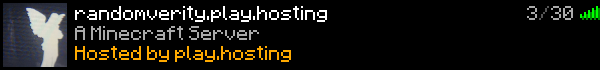 Randomverity Minecraft Server Banner