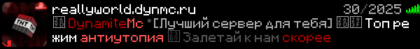 ReallyWorld Minecraft Server Banner