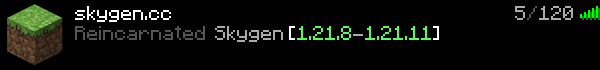 Reincarnated SkyGen Minecraft Server Banner