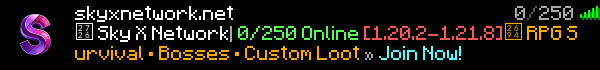 Sky X Network Minecraft Server Banner