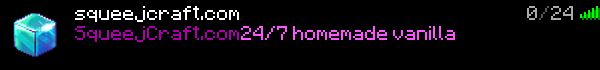 SqueejCraft Minecraft Server Banner