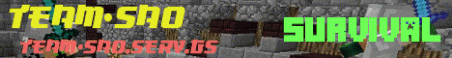 Team-SaO Minecraft Server Banner