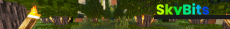 SkyBits Minecraft Server Banner