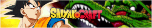 Saiyan craft Minecraft Server Banner