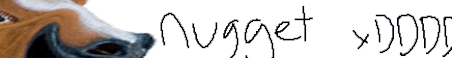 NuggetMC Minecraft Server Banner