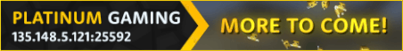 Platinum Gaming Minecraft Server Banner