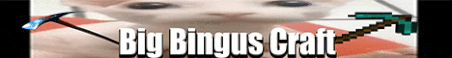 Big Bingus Craft Minecraft Server Banner