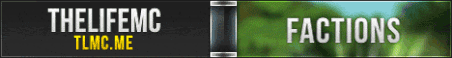 TheLifeMC Minecraft Server Banner