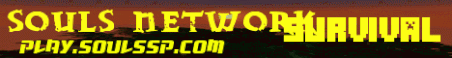 Souls Network Minecraft Server Banner