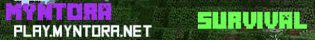 Myntora Network Minecraft Server Banner