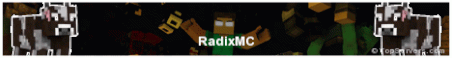 RadixMC Minecraft Server Banner
