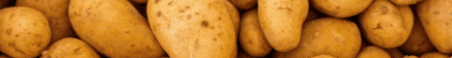 Potato MC Minecraft Server Banner