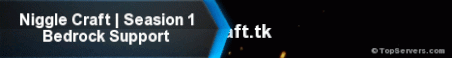 Niggle Craft Minecraft Server Banner