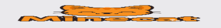 Minecat Minecraft Server Banner