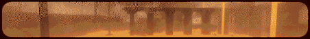 Pixeloza Minecraft Server Banner